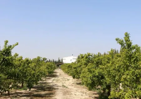 El Refugio