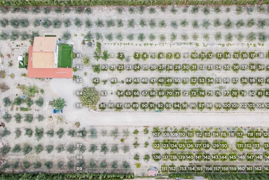 Mapa de Adopción de Mandarinos en El Refugio EcoArt