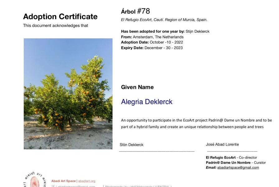 Adoption certificate for Padrin@ Dame un Nombre
